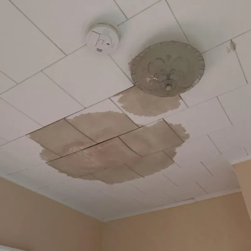 Ceiling Water Damage Repair in Lincoln County, AR