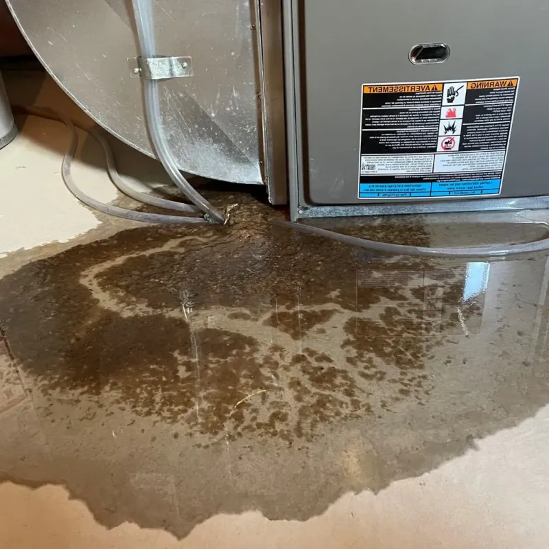 Pipe Burst and Leak Restoration in Lincoln County, AR