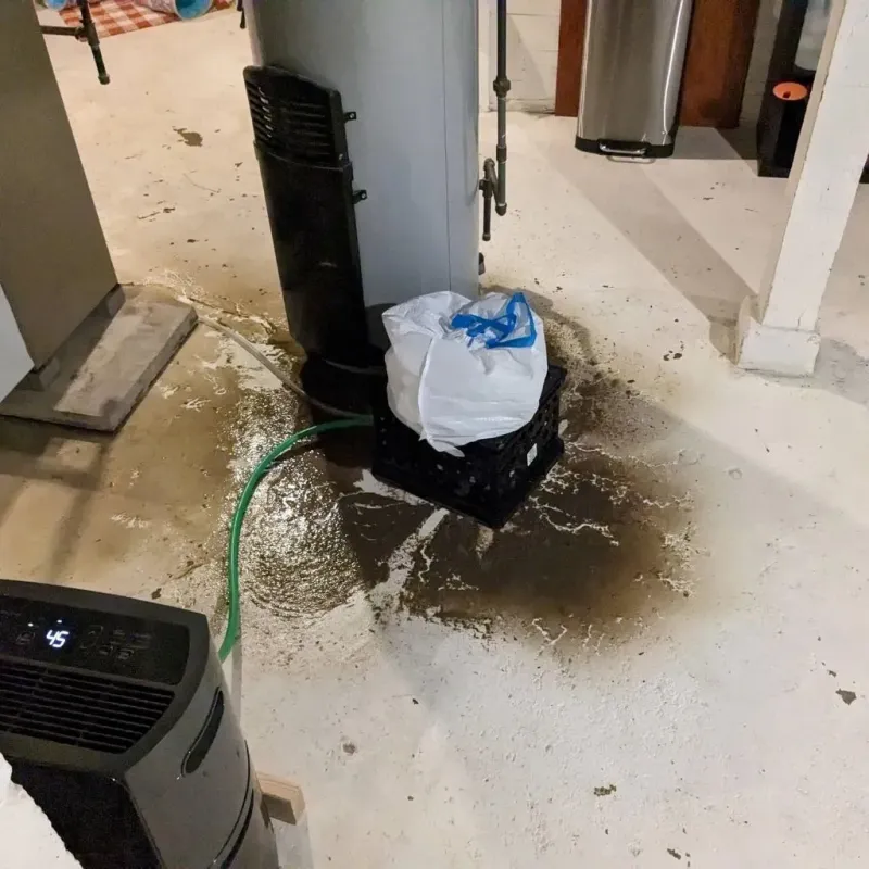 Sewage Backup Cleanup Service in Lincoln County, AR